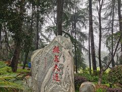 -武汉大学-樱园