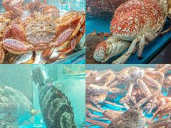 -1718海鲜姿造(苏宁宴请臻选店)