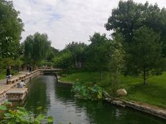 -三里河公园