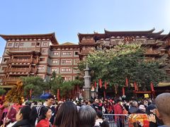 -越秀西湖花市(广州城市广场花卉店)