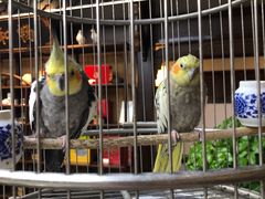 -蘭奢雅集·江浙菜(青山江滩店)