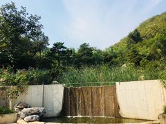 -静之湖湖畔餐厅