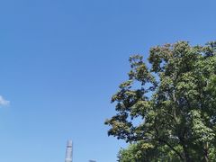 -艺仓美术馆
