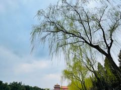 -东华门大街小区