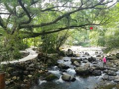 -广州市石门国家森林公园