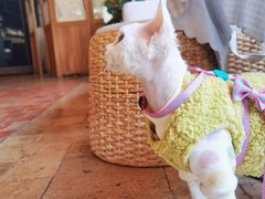 -翠贝卡&Mama Kelly Brunch Coffee(河西店)