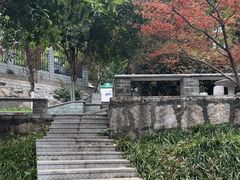 -白沙古井