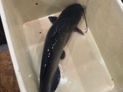 -九寨沟石锅鱼(沣峪口二十年店)