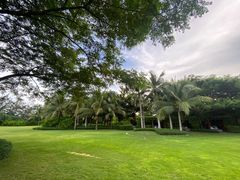 -瑰丽酒店·海吧·天际下午茶·现场DJ·天台酒吧