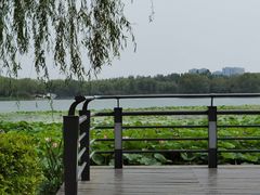 -大兴滨河森林公园