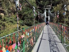 -西双版纳原始森林公园