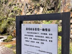 -茅兰沟国家森林公园