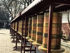 -护国法轮寺