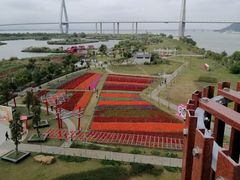 -芒洲湿地公园