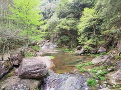 -四明山国家森林公园