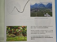 -Olé精品超市(广州太古汇店)