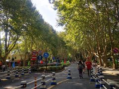 -浙江大学(玉泉校区)