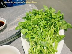 -张凯达·深海石斑鱼潮汕火锅(十五年品牌•虹桥天街店)