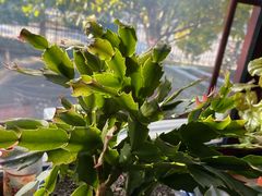 景观位-钰田大院·碳烤虹鳟鱼·怀柔地道农家菜(雁栖湖店)