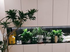 -影居starhoho·泳池别墅轰趴馆·瑶光