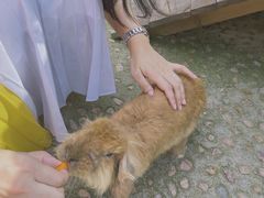 -珠海海泉湾神秘岛亲子乐园