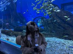 -海合安武汉极地海洋公园