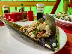 -罗源湾8号渔排