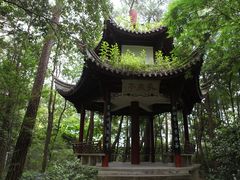 -溪口-滕头旅游景区