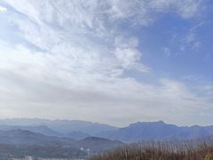 -中原大佛景区