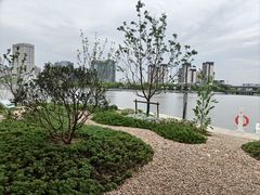 -新洲生态园