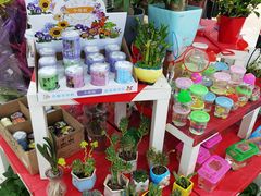 -物美(北沙滩店)