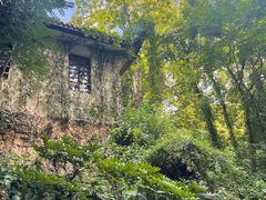 -岳麓山风景名胜区