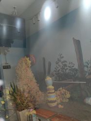 -爱儿美儿童摄影(奥森公园店)