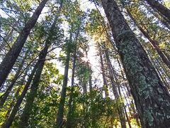 -白草畔自然风景区