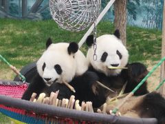 -鄂尔多斯野生动物园