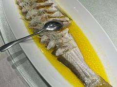 鸡汁蒸太湖翘嘴大白鱼（半）-金枝玉叶上海人家食府(三里河店)