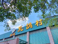 门面-石岐乳鸽村(南海第三分店)