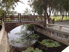 iphone_upload_pic-三山岛