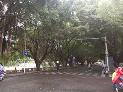 -老福洲(西洪路店)