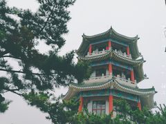 -青岛海滨风景区小鱼山