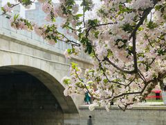 -元大都城垣遗址公园