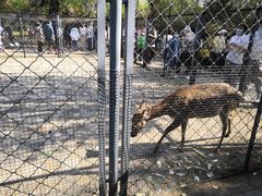 -长白岛森林公园