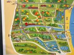 -日照海滨国家森林公园