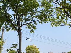 -菊园百果园