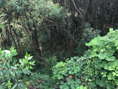 -平湖九龙山旅游度假区