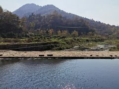 -千年银杏谷文化旅游区