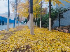 -大连理工大学(凌水校区)