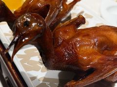 爆汁红烧鸽皇-大鸽饭(岗顶店)