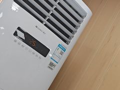 -华莱士 炸鸡汉堡(卜蜂店)