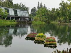 -成飞公园